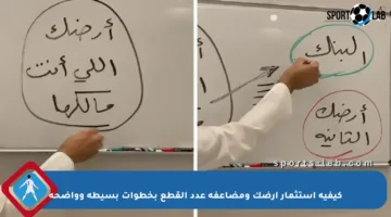 كيفية استثمار أرضك ومضاعفة عدد القطع بخطوات بسيطة وواضحة